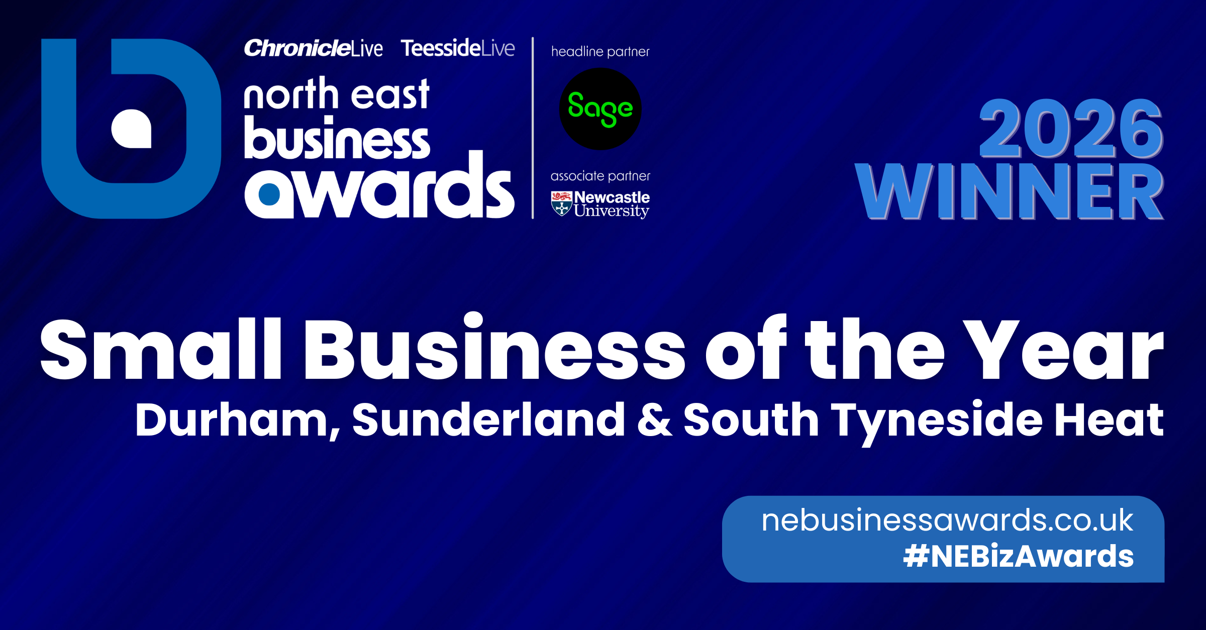 Small Business of the Year - DS&ST